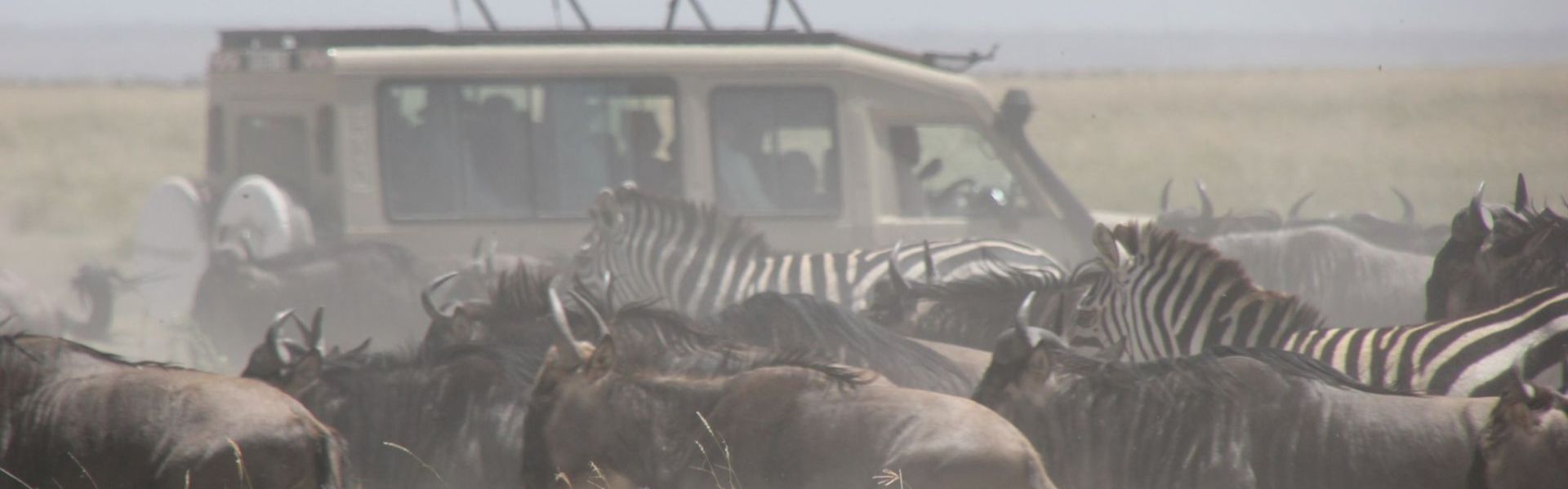 Authentic Africa Adventures