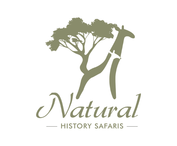 Natural History Safari