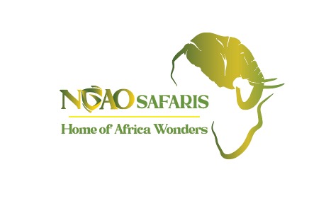 Ngao Africa